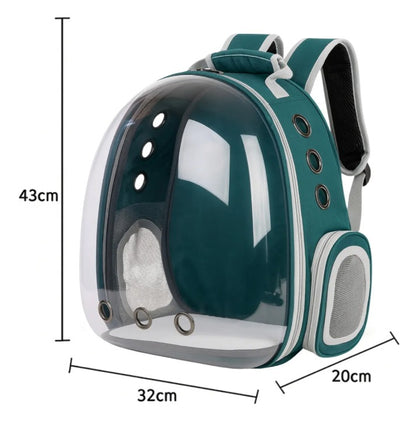 Mochila transparente mascotas