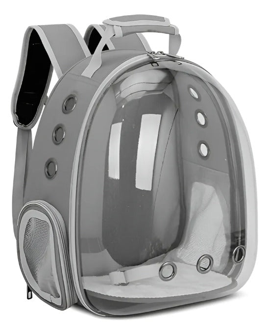 Mochila transparente mascotas