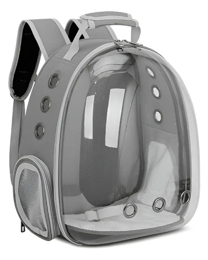 Mochila transparente mascotas